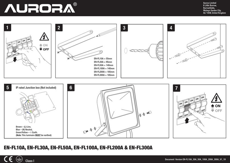 Aurora EN-FL10A manual