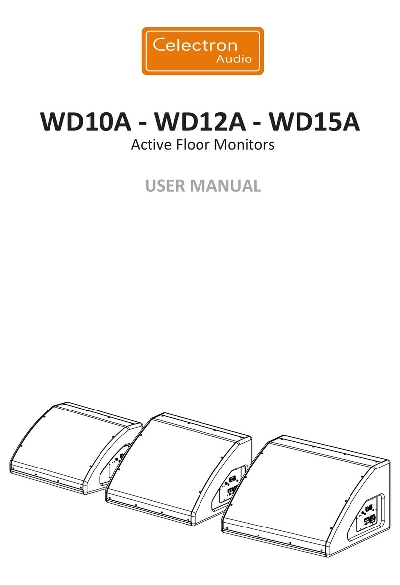 Celectron Audio WD10A user manual