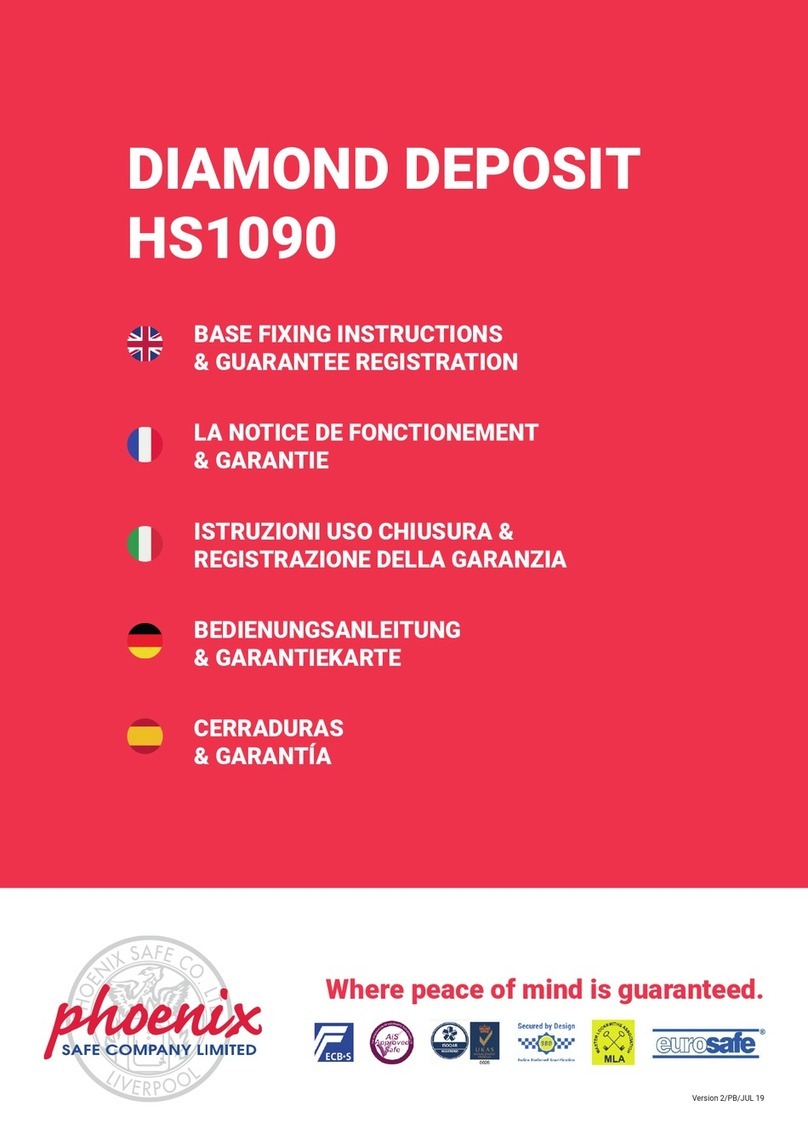 Phoenix DIAMOND DEPOSIT HS1090 Product information sheet