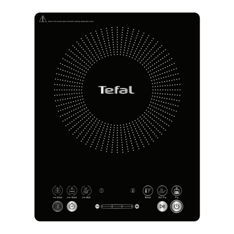 TEFAL Everyday Slim IH210840 manual TEFAL Everyday Slim IH210840 manual