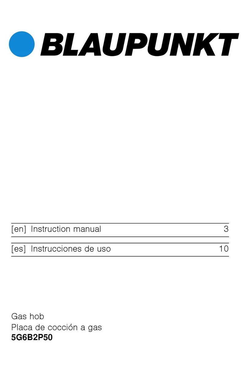 Blaupunkt 5G6B2P50 instruction manual