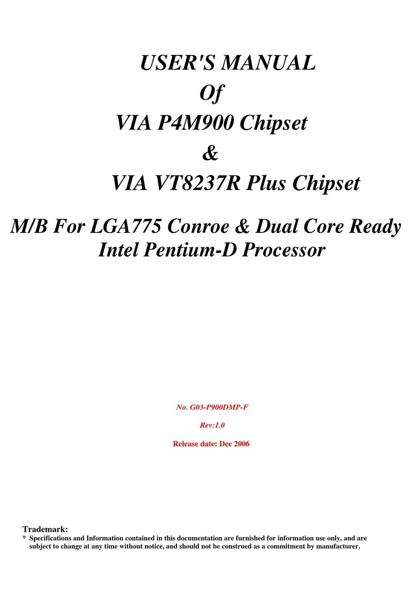VIA Technologies P4M900 user manual