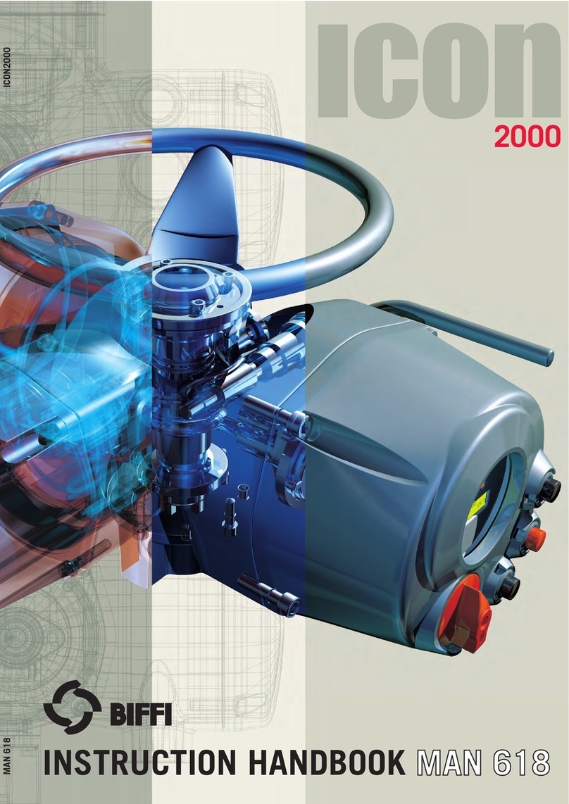 BIFFI ICON 2000 Instruction handbook