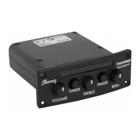 Ibanez AEQ210T User manual