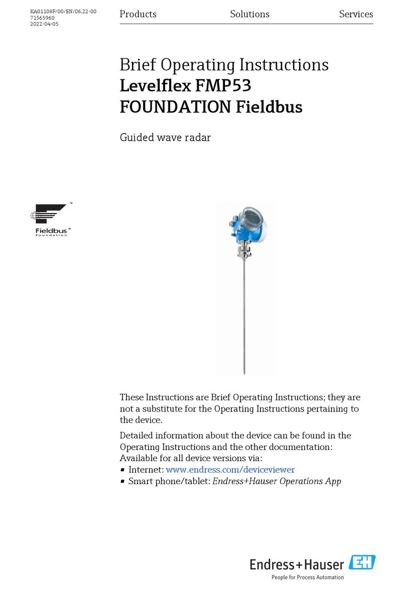 Endress+Hauser Levelflex FMP53 FOUNDATION Fieldbus Brief operating instructions