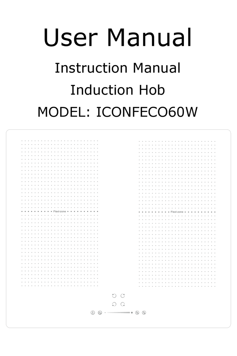 Innocenti ICONFECO60W User manual