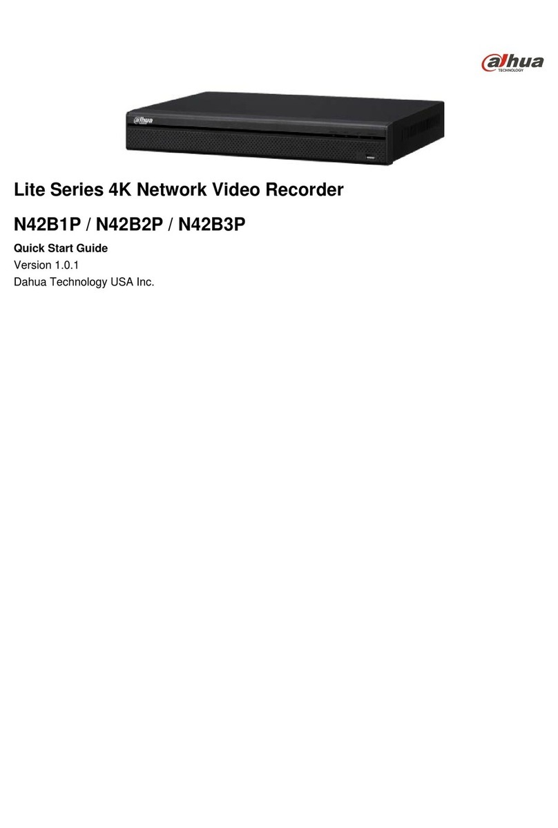 Dahua Technology Lite N42B1P Series User manual