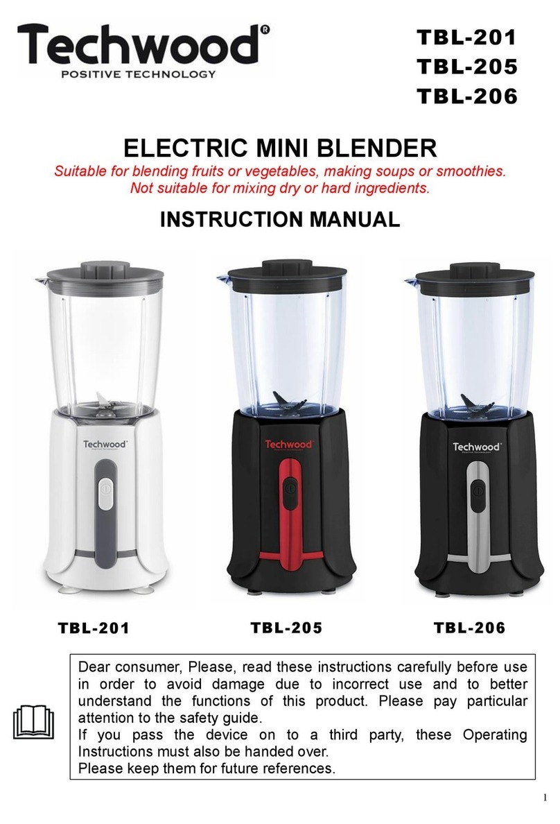 TECHWOOD TBL-201 User manual