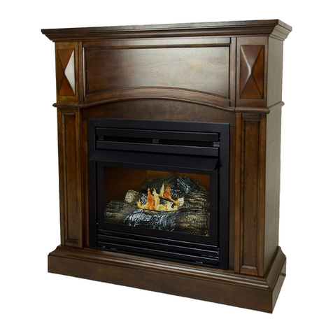 pleasant hearth VFF-PH-PH20LPB User manual