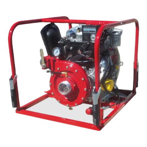 CET PFP-19hp-DSL-AFL instruction manual