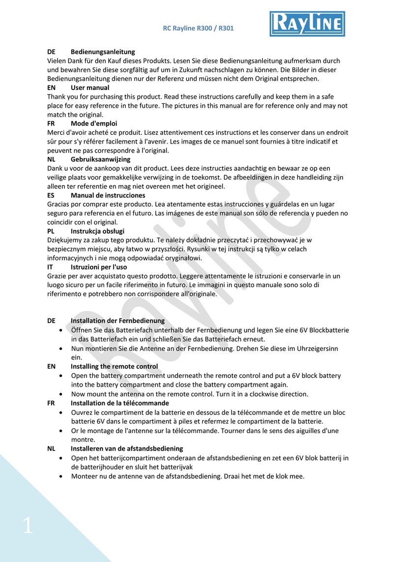 Rayline R300 User manual