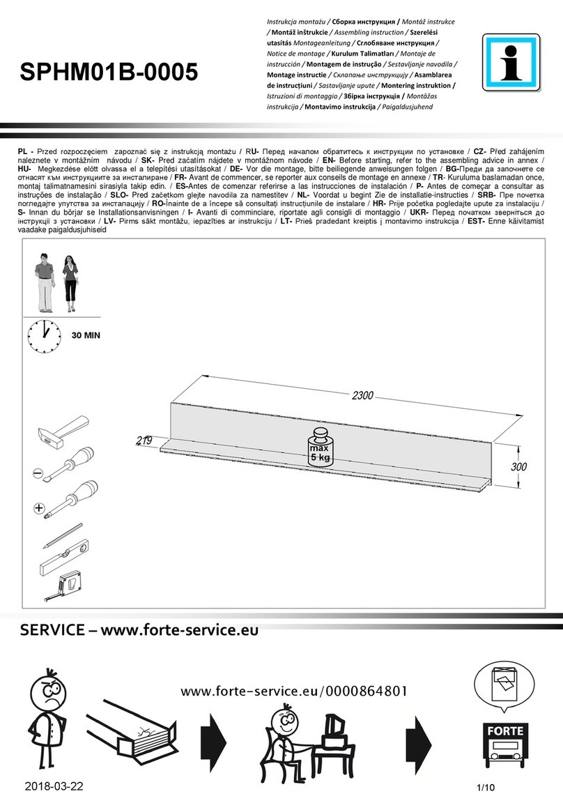 Forte SPHM01B-0005 Assembling Instruction