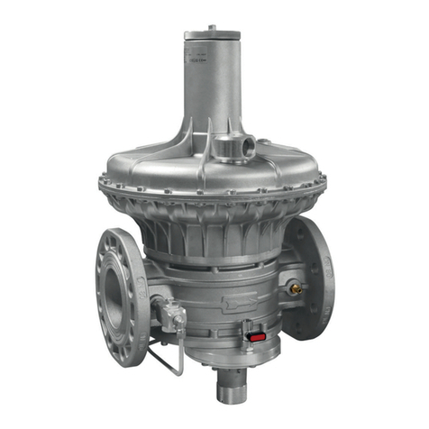 Madas RG/2MBLZ DN 80 Technical manual
