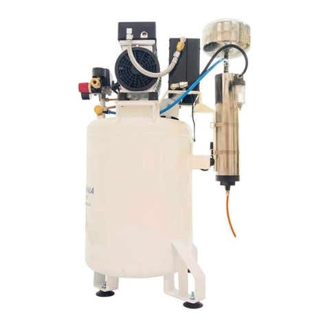 California Air Tools 10010DCAD User manual