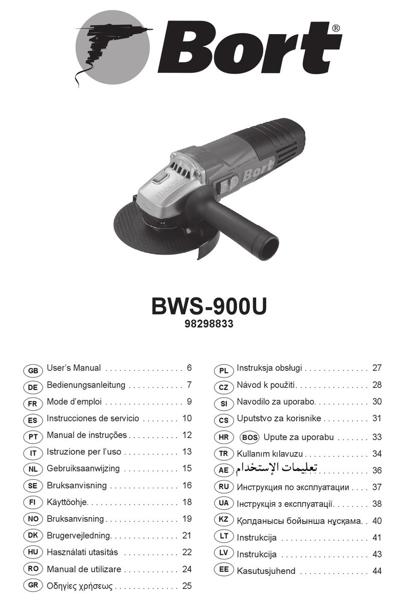 Bort BWS-900U user manual