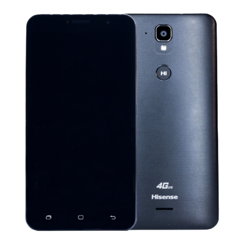 Hisense T203 User manual