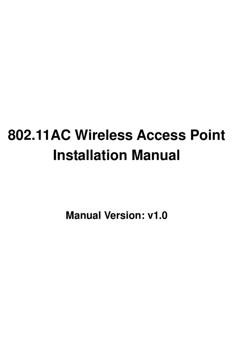 Digitalchina Networks WL8200 Series installation manual