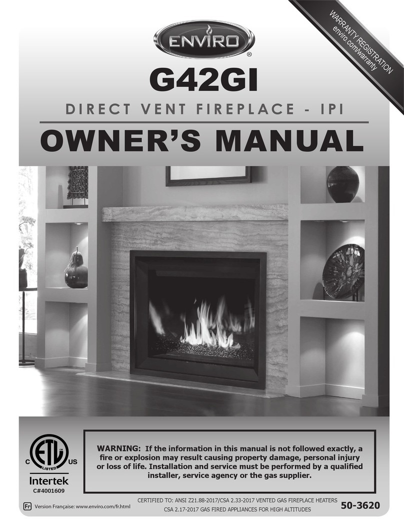 Enviro G42GI owner's manual