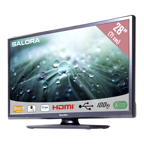 Salora 28LED9100C User manual