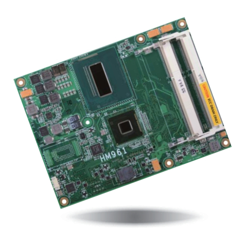 DFI HM961 Series User manual
