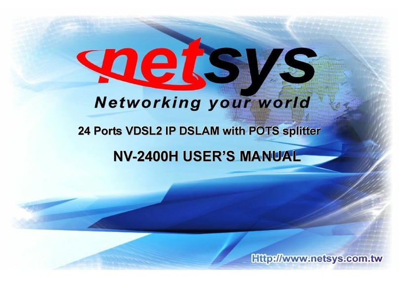 netsys NV-2400H user manual