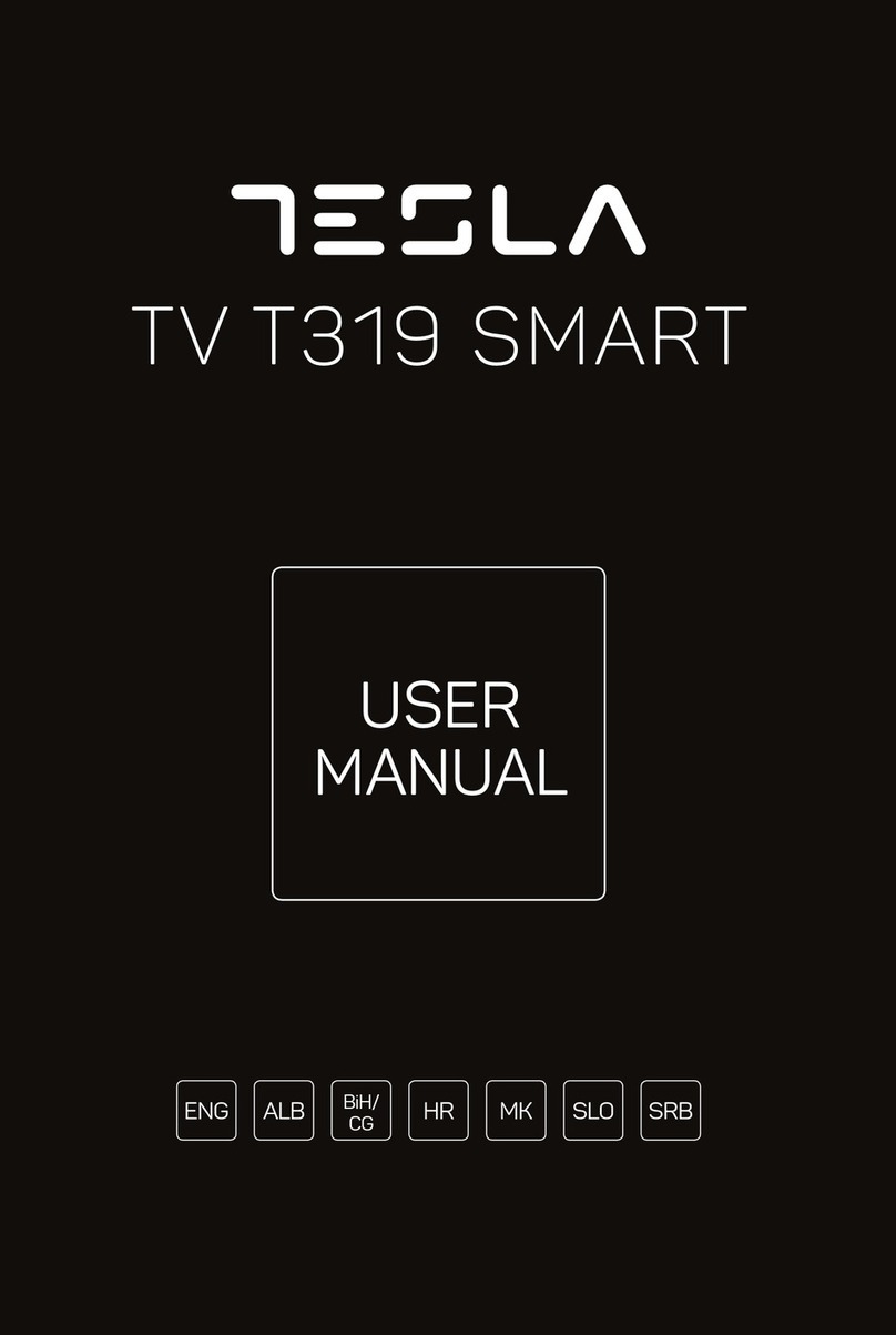 Tesla T319 user manual
