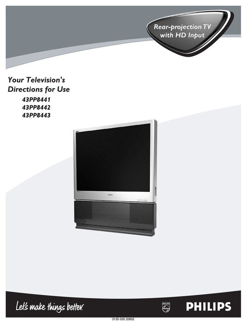Philips 43PP8441 manual