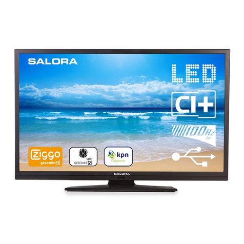 Salora 39LED8100C User manual