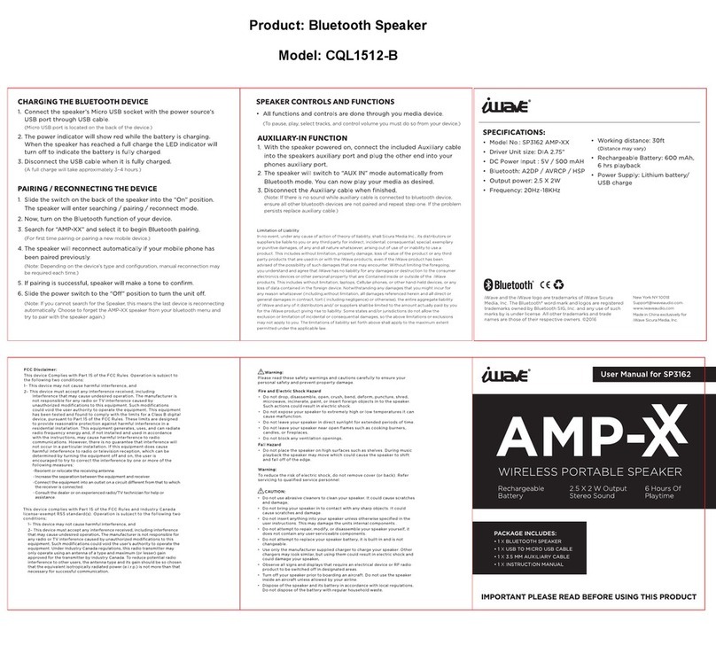 iWave AMP-XX SP3162 user manual