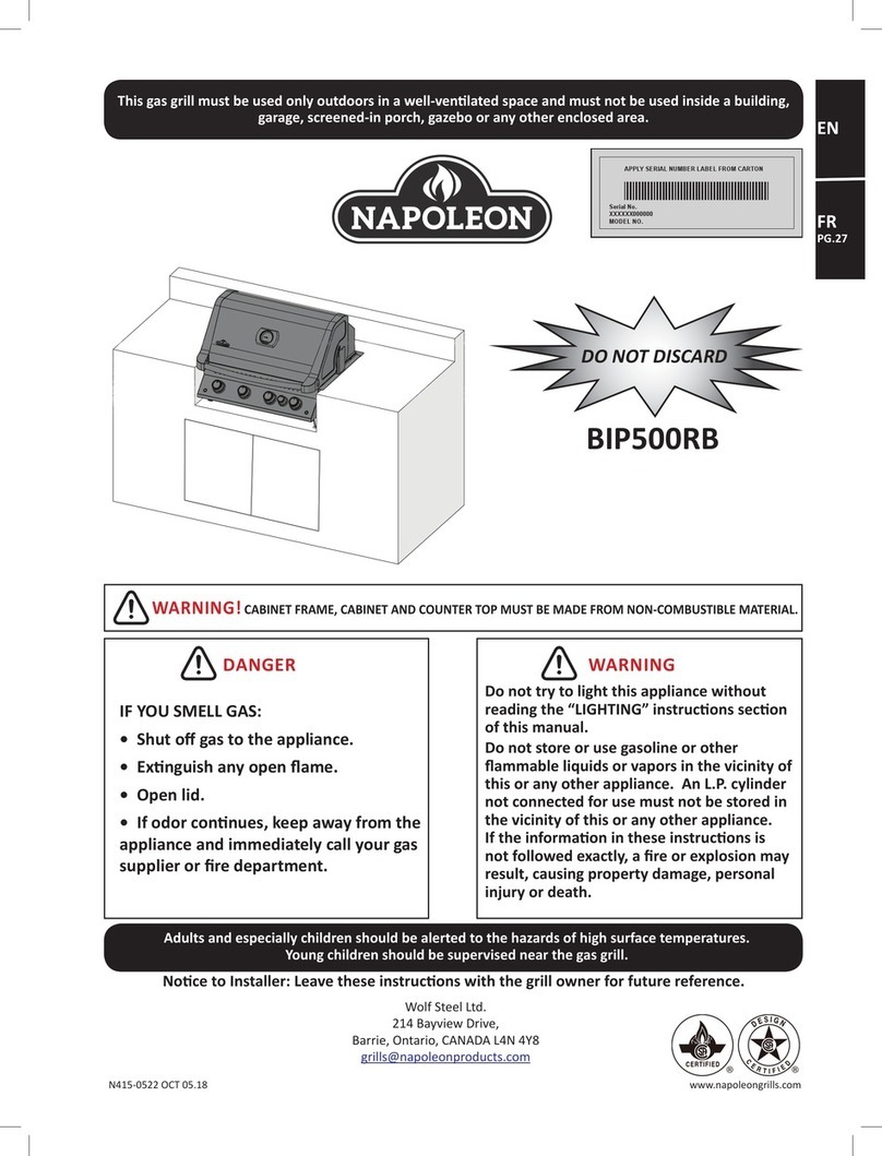 Napoleon BIP500RBNSS3 User manual