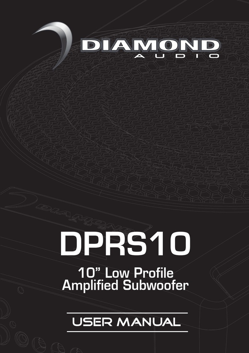 Diamond Audio DPRS10 user manual