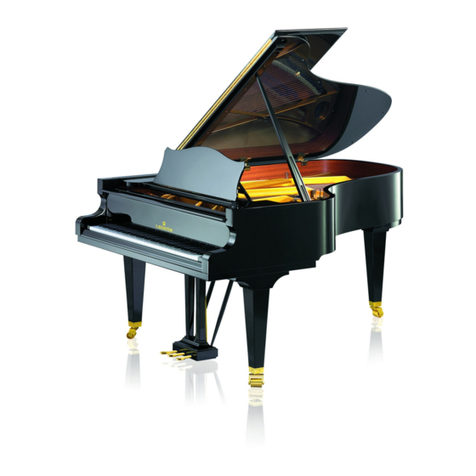 C. Bechstein VARIO duet quick start