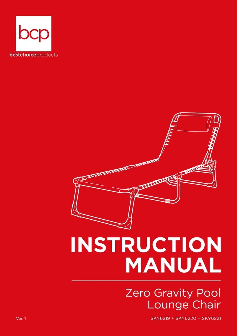 BCP SKY6219 User manual