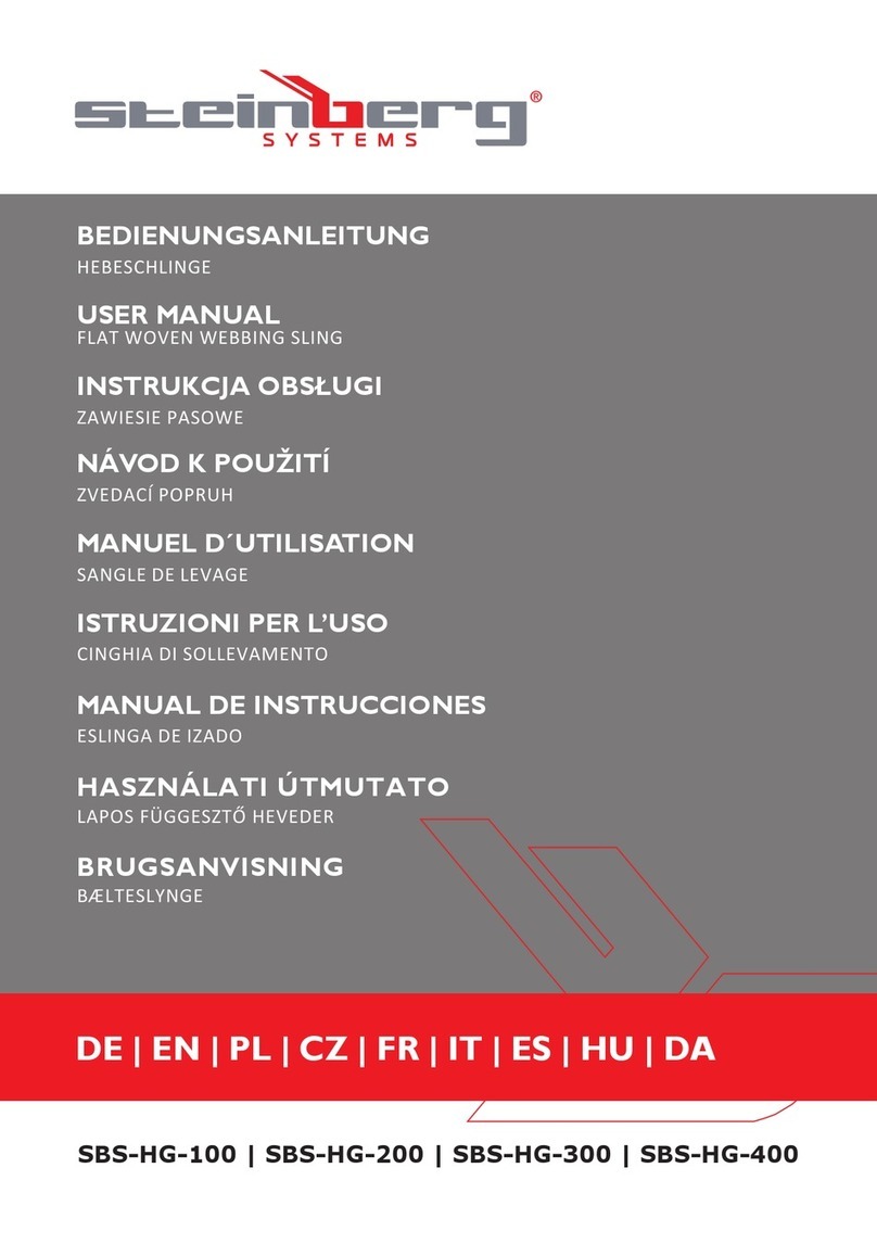 Steinberg Systems SBS-HG-100 User manual