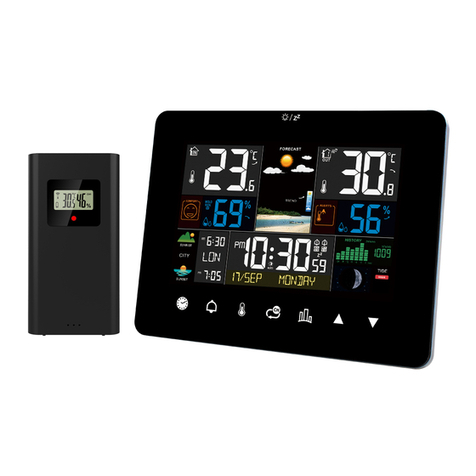 FanJu FJ3362G manual
