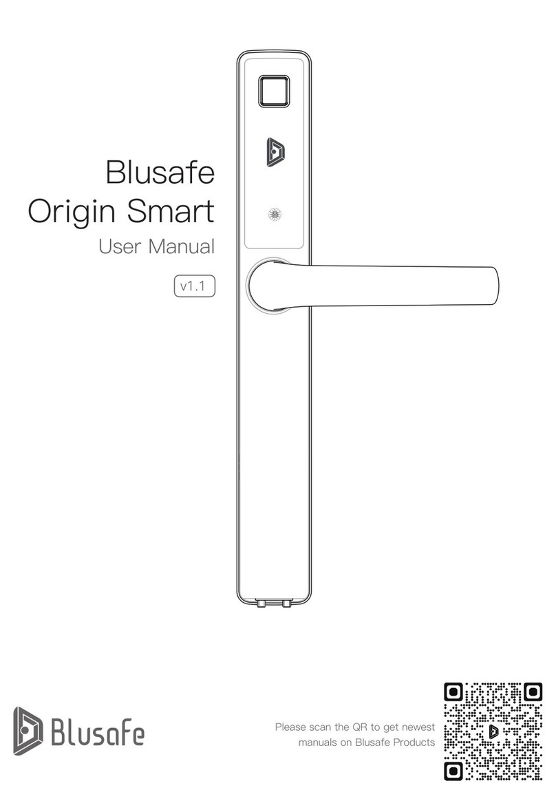 Blusafe Origin Smart user manual