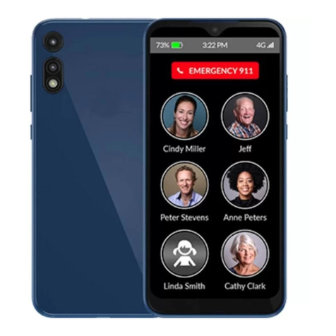 Raz Memory Cell Phone user guide