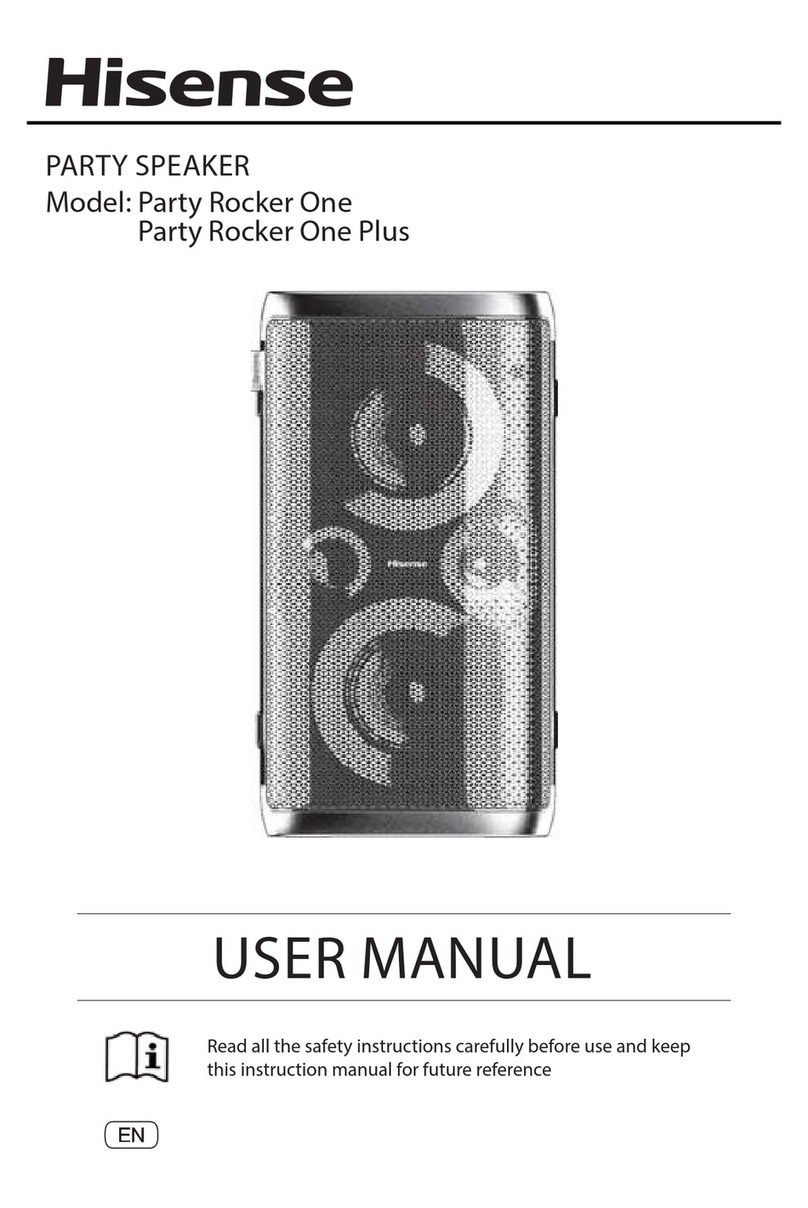 Hisense Party Rocker One user manual