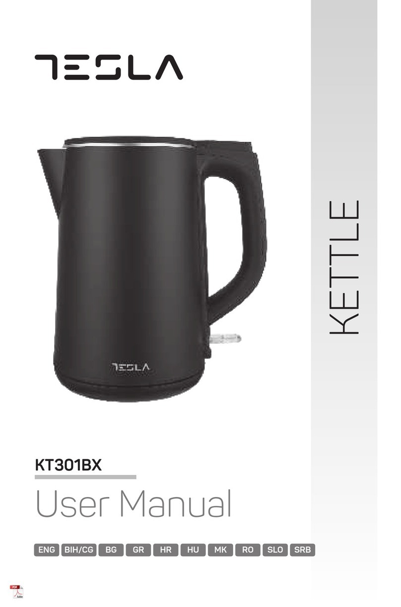 Tesla KT301BX user manual