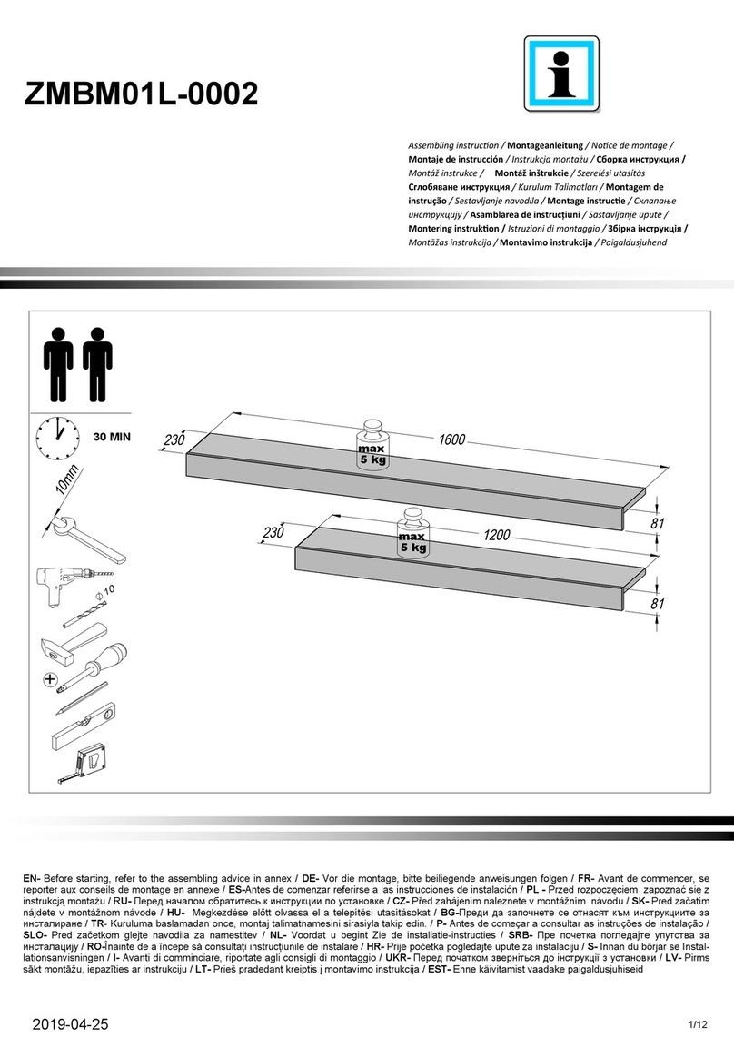 Forte ZMBM01L-0002 Assembling Instruction