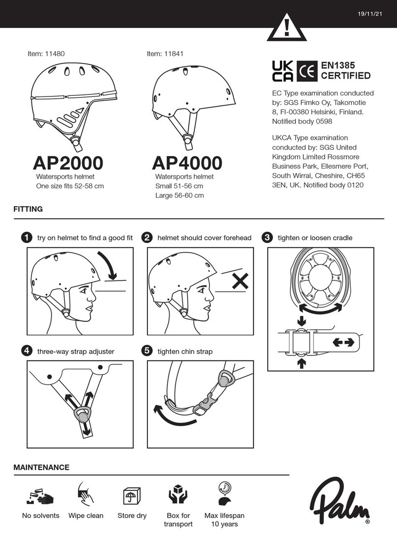Palm AP2000 manual