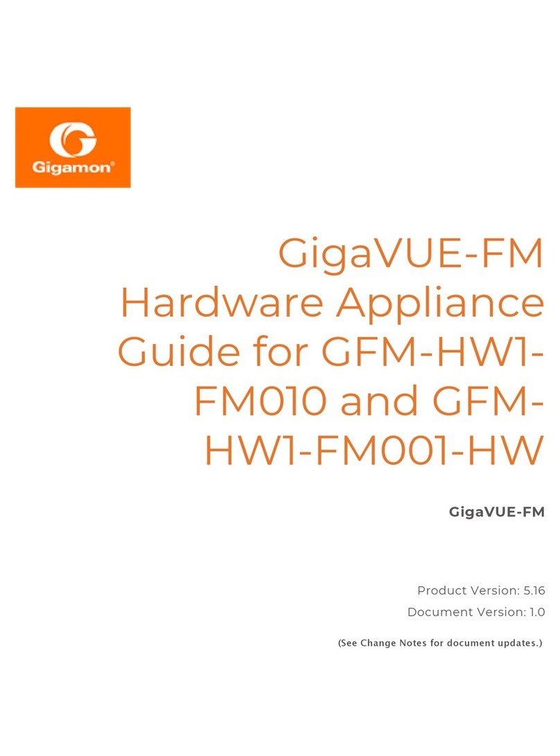 Gigamon GigaVUE-FM Series Installation instructions