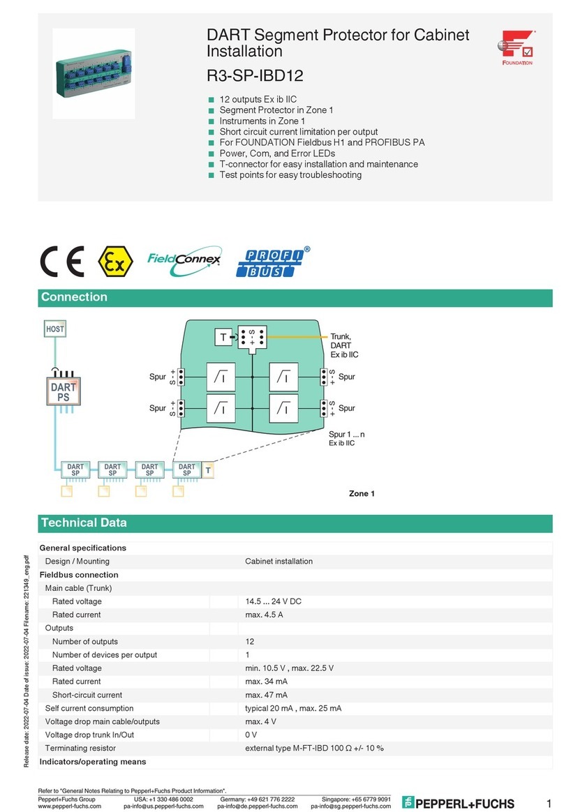 Pepperl+Fuchs R3-SP-IBD12 Installation