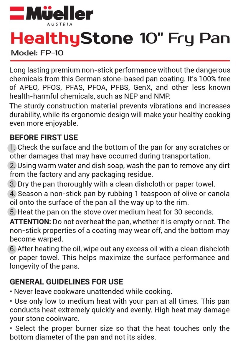Mueller HealthyStone FP-10 manual