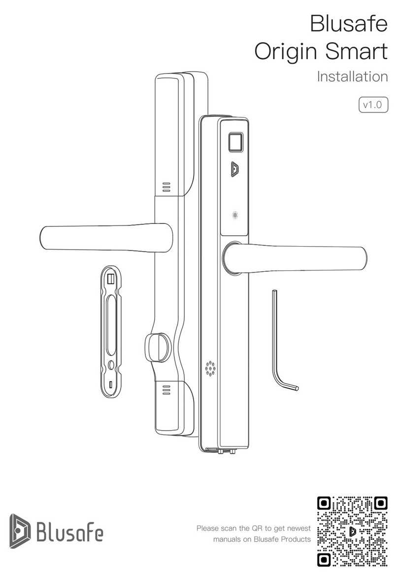 Blusafe Origin Smart User manual