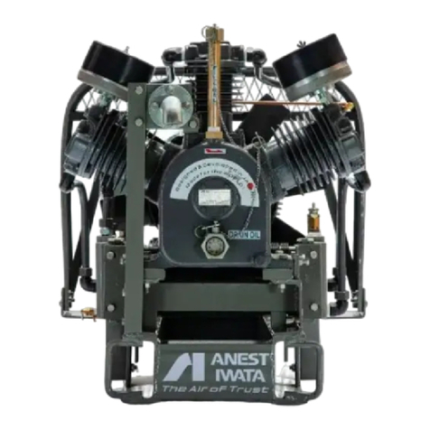 Anest Iwata SLVB-5 instruction manual