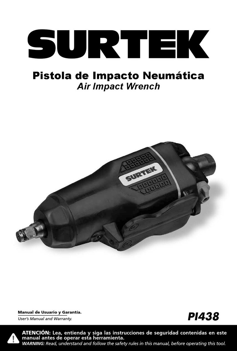 Surtek PI438 User manual