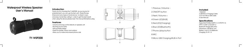 Toshiba TY-WSP200 user manual