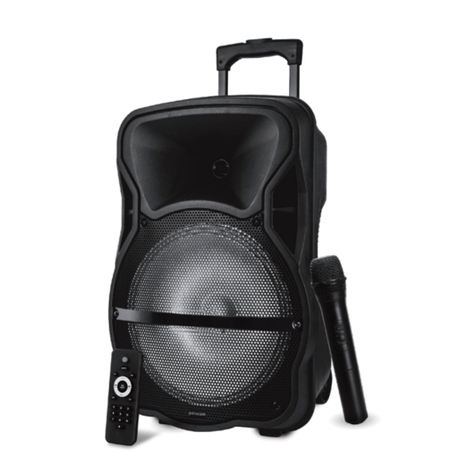 Panacom STAGE SOUND S11WM User manual
