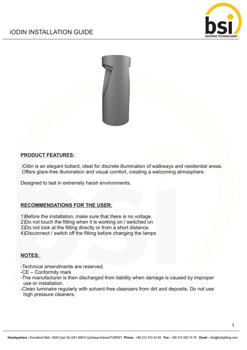 BSi iODIN installation guide